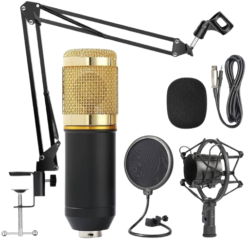 MIC BM-800